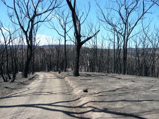 Living With Fire And Facing Our Fears